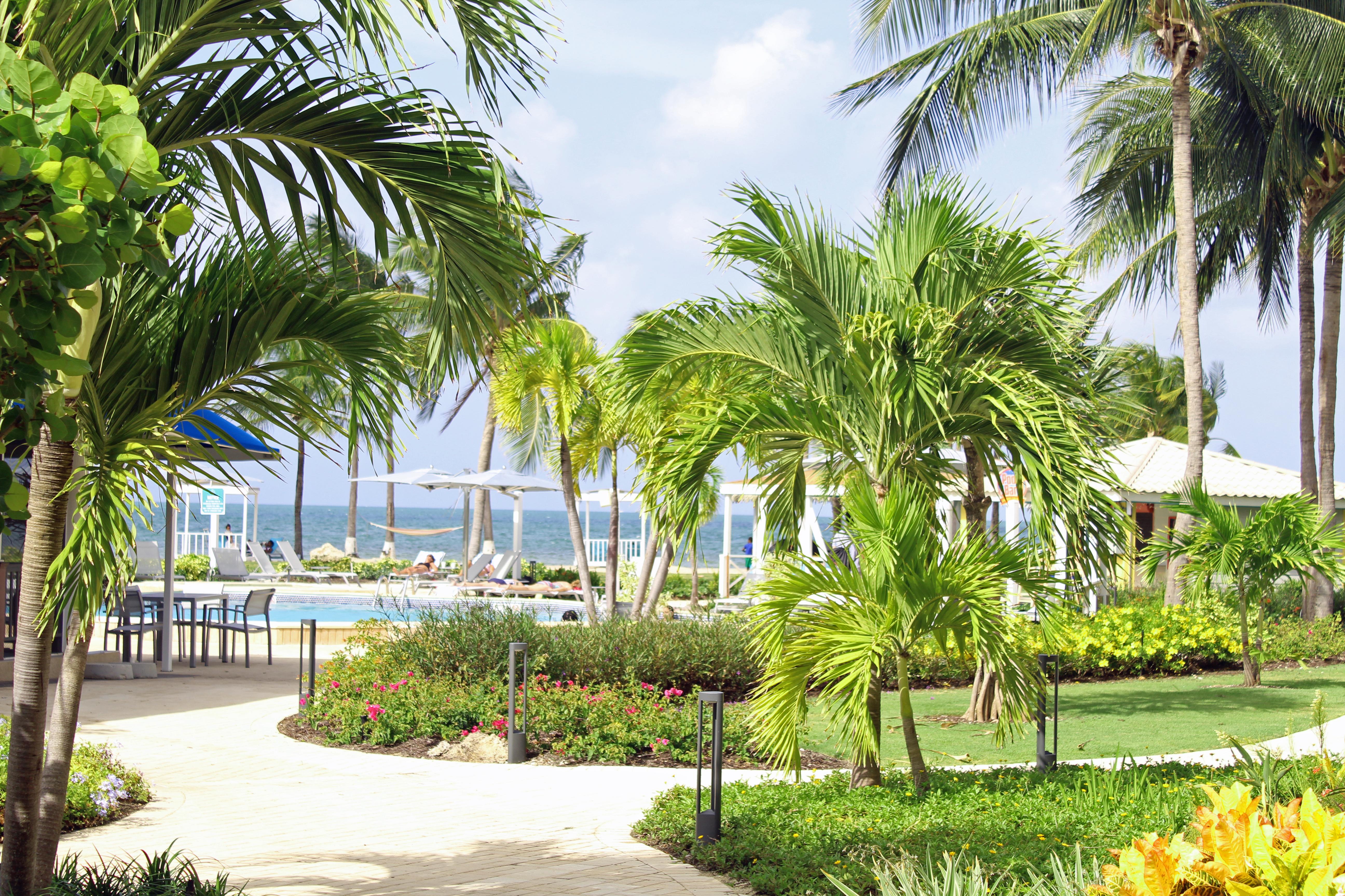 The Grand Caymanian Resort Джордж Таун Екстериор снимка
